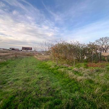 Овідіополь, Одеський, Одеська область 8500.0 USD