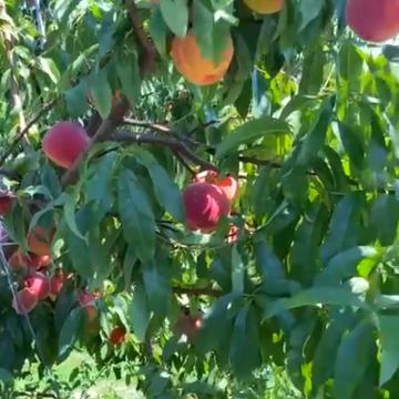 16 Липня вул., 41