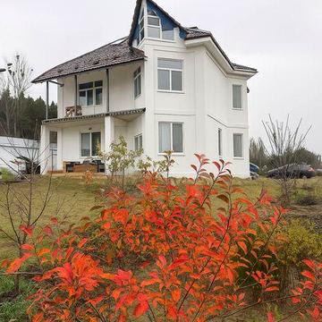 Просторий, якісний будинок в оточенні лісу!