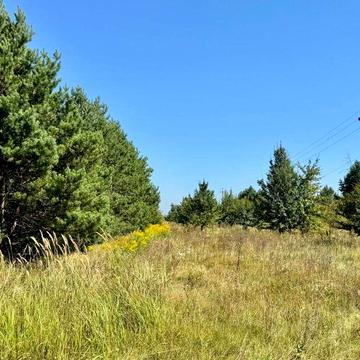 Колонщина, Бучанський, Київська область 672000.0 USD