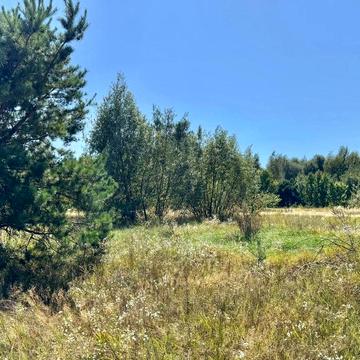 Колонщина, Бучанський, Київська область 64000.0 USD