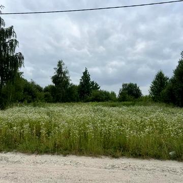 Поршнянська