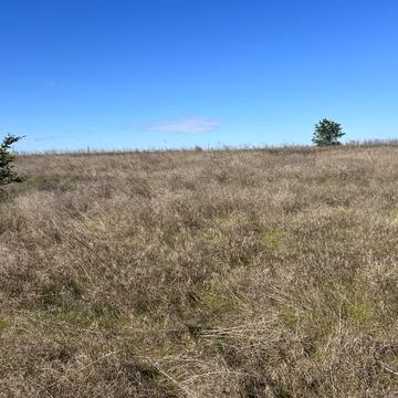 Овідіополь, Одеський, Одеська область 5000 USD