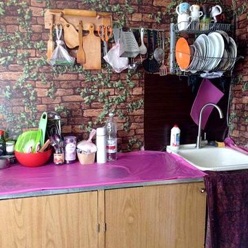 Сдам 2 квартиру бородинський