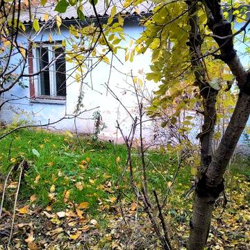 Будинок у Вигоді