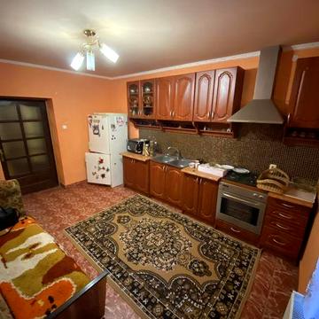 Продам будинок у передмісті Берегова