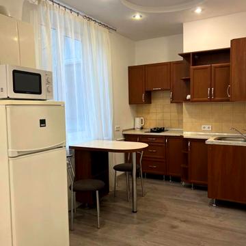 Двухкомнатные апартаменты люкс в центре города