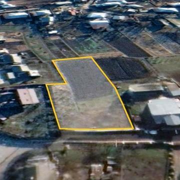 Кушнірська