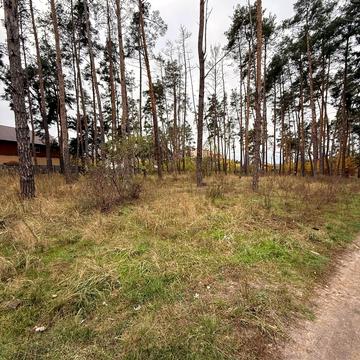 Університетська вул.