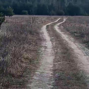 Абрамівка, Вишгородський, Київська область 5500.0 UAH