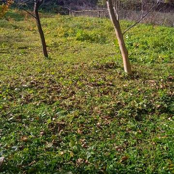 Калуське, 18