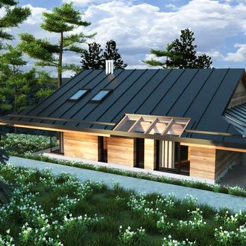 центральна