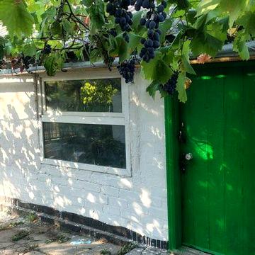 Будинок в мальовничому селі