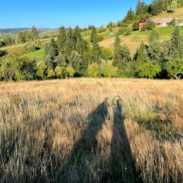 Ясіня, Рахівський, Закарпатська область 40000.0 USD