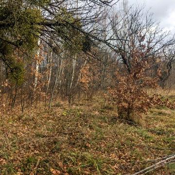 Лесі Українки