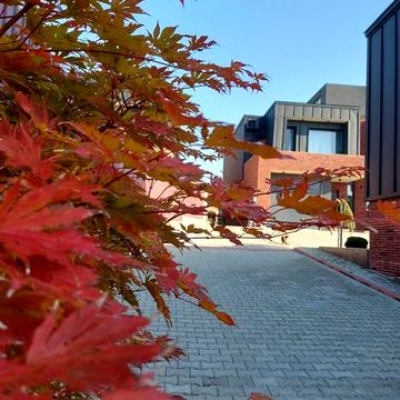 Терміново продається дуплекс  у звязку з переїздом ,торг