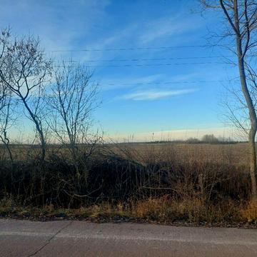 Вишпільська