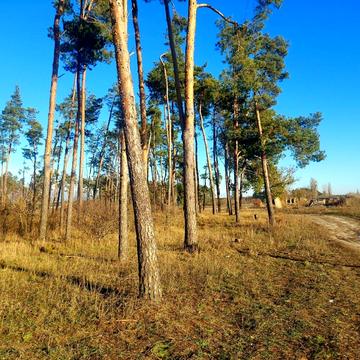 Камянка, Житомирський, Житомирська область 109000.0 USD