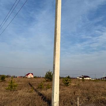 Ярослава Мудрого