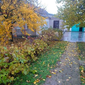 Продам дом в с. Аполлоновка