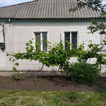 Продам недорого затишний будинок в Таромському