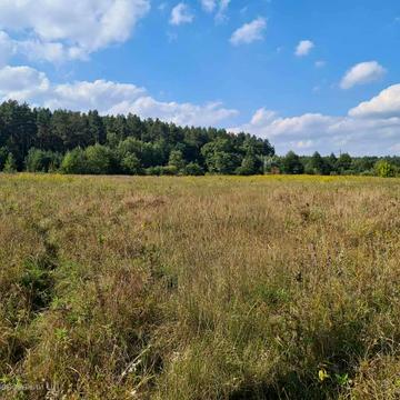 Димер, Вишгородський, Київська область 130000.0 USD