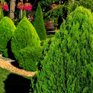 Платанова вул.