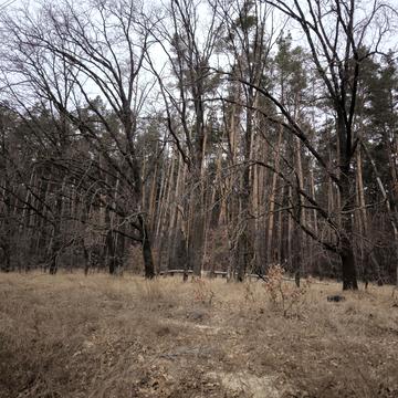 Михайлівка-Рубежівка, Бучанський, Київська область 10500.0 USD