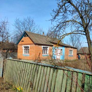 Будинок з великою ділянкою