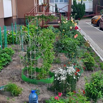 Білецька, 18