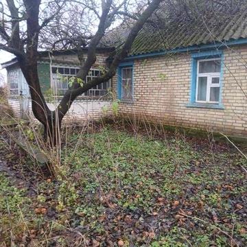 Продається будинок. Село Триліси. Фастівський район.
