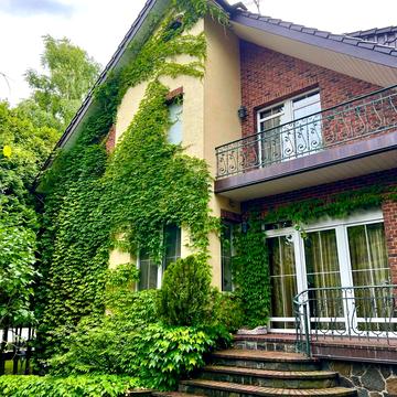 Весняна вул.