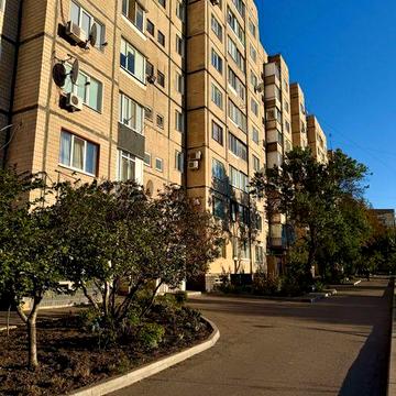 Здам в довгострокову оренду 1 к квартиру на Зарічному