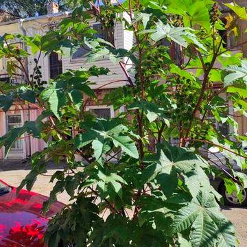 Продам 3 комнатную квартиру на Осипова (в подарок квартира в цоколе)