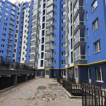 Княгинин вул., 19