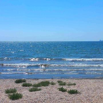 Дача на берегу моря