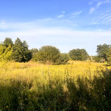 Крячки, Фастівський, Київська область 15000 USD