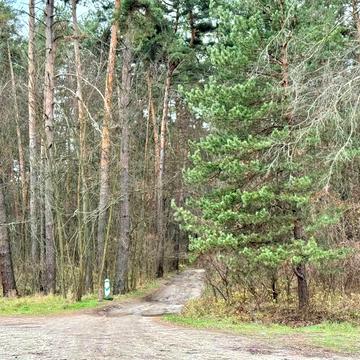 Вороньків, Бориспільський, Київська область 48000.0 USD