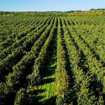 16 Липня вул., 41