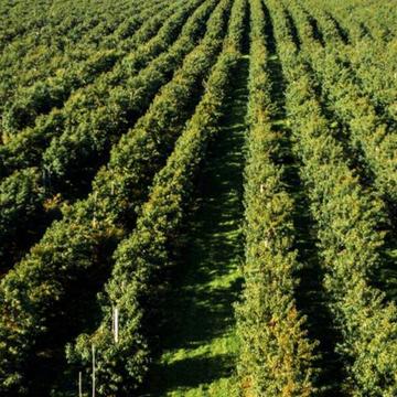 Винники, Львівський, Львівська область 3500000.0 USD