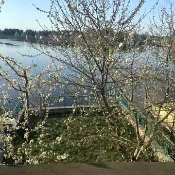 0% Будинок на Дніпрі+ВЛАСНИЙ ПРИЧАЛ+ВИХІД на воду Українка Конча-Заспа