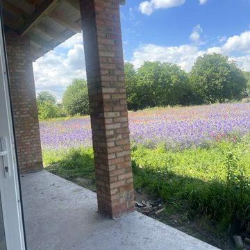 Городище американка