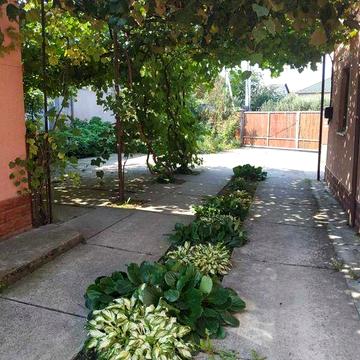 В Продажу Будинок