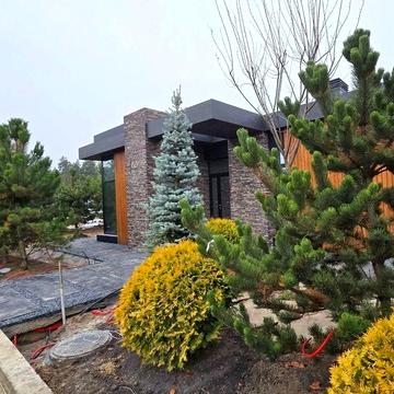 Будинок преміум класу 170 м2 біля лісу КМ 9 елементів газ с. Лісники