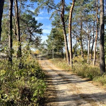 Українка, Обухівський, Київська область 260000.0 USD