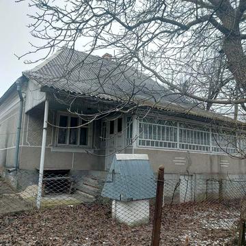 Продається будинок.с.Лопушне( ХУТІР!)