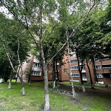 Антоновича вул. (Горького), 154