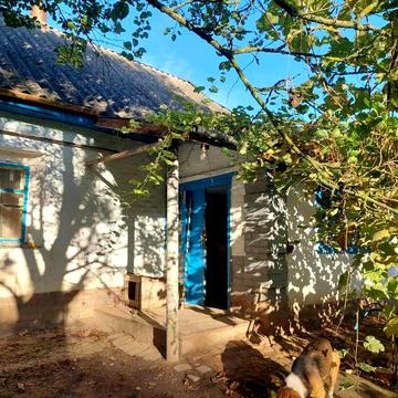 Продається будинок в селі Дібрівка, біля міста Миргород