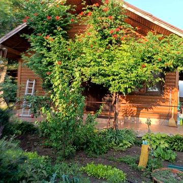 Элитный эко-дом из натурального дерева, 3 спальни,скважина Н.Дафиновка