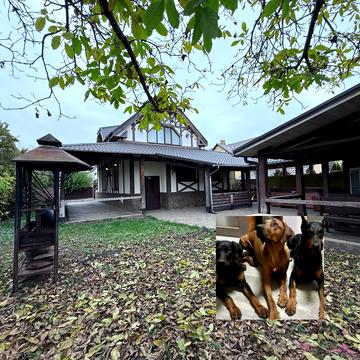 Деснянська вул.